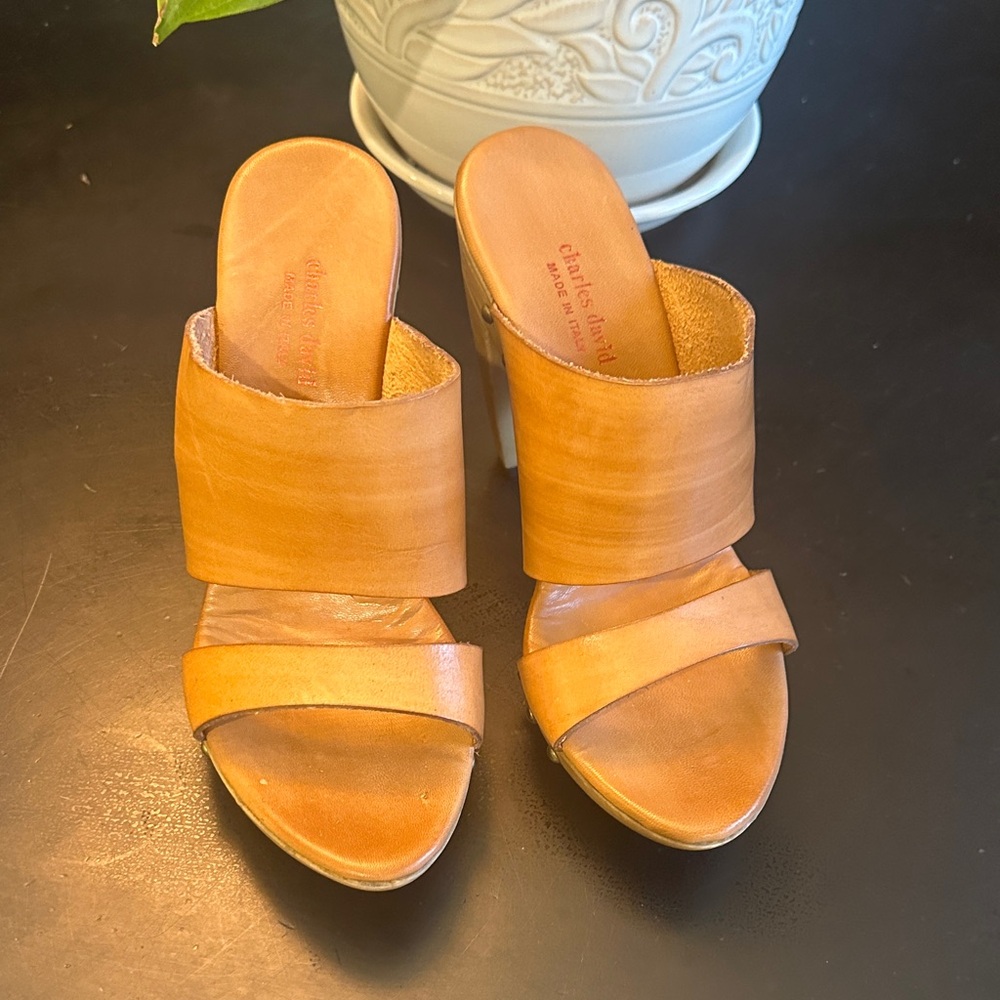 Charles David Light Brown Slide Sandals